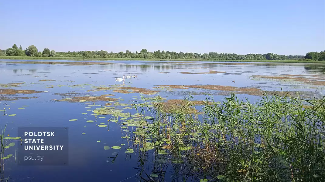 Краявіды Браслаўшчыны