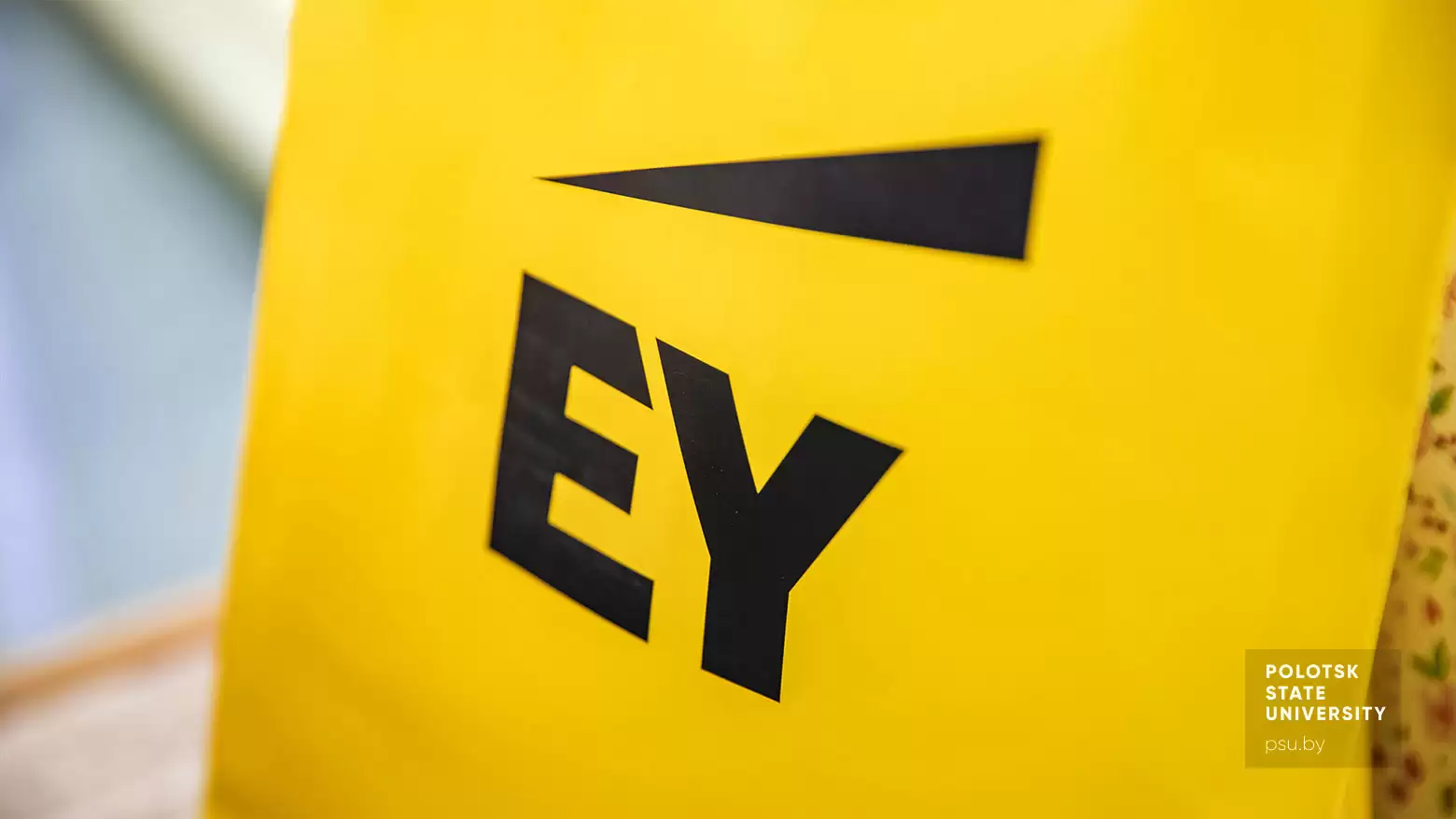 Ernst & Young Ernst & Young