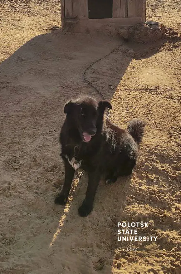 nedelya dobra 2 2