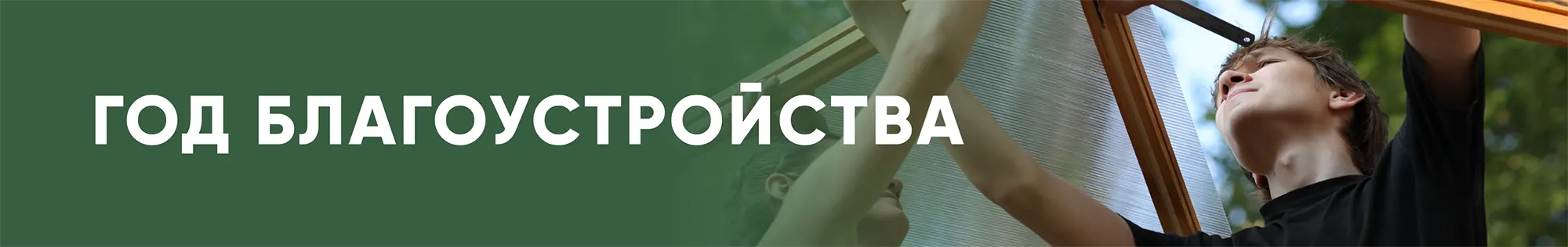 Год благоустройства Год благоустройства