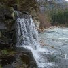 2010 г. Карпаты