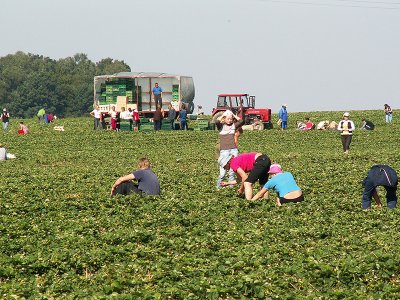 2007 г.