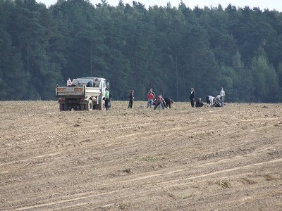 2011 г.