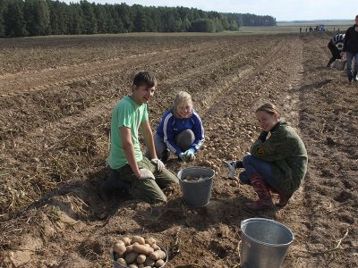 2011 г.