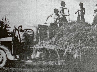 1971 г.