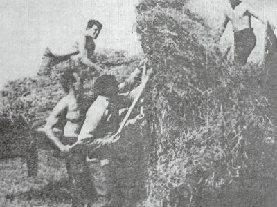 1971 г.