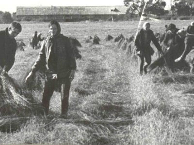 1970-я