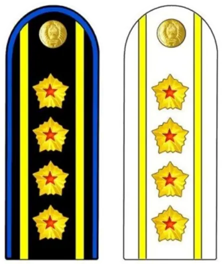 Shoulder insignia