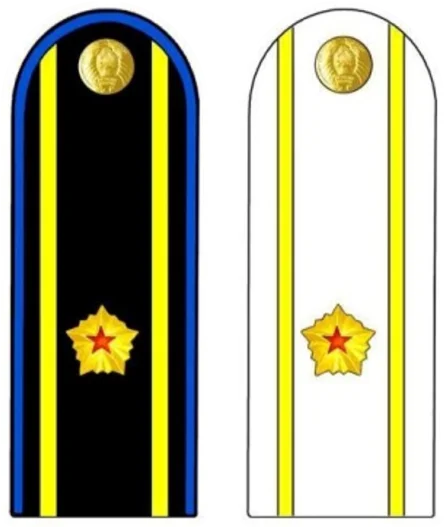 Shoulder insignia