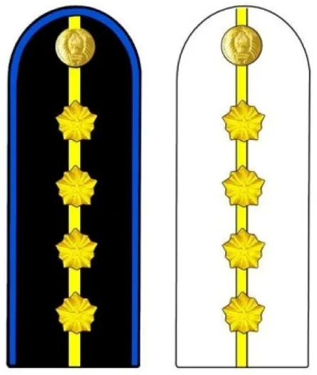 Shoulder insignia