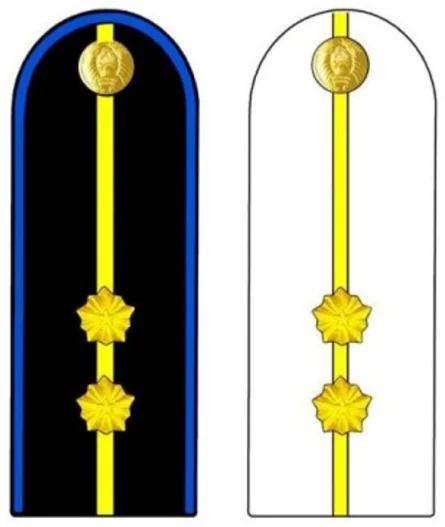 Shoulder insignia