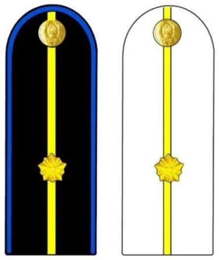Shoulder insignia