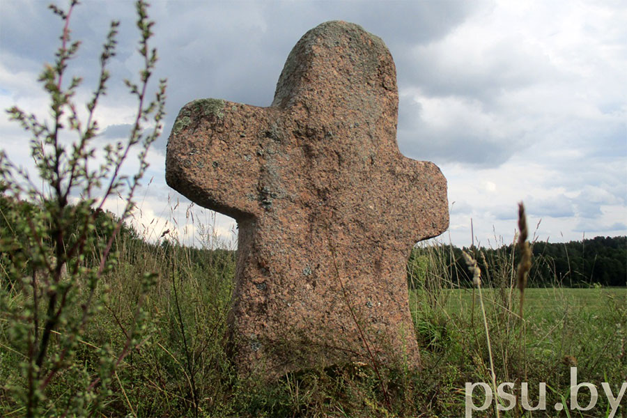 tsentr-vusnaj-gistoryi-i-palyavykh-dasledavannya