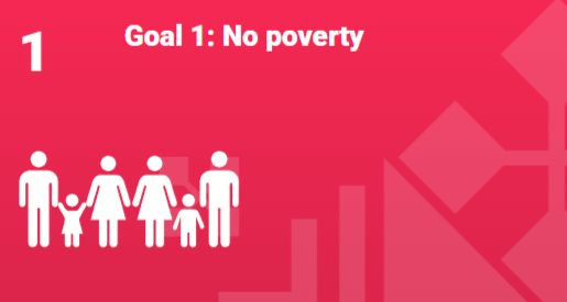 Goal 1