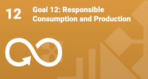 Goal 12