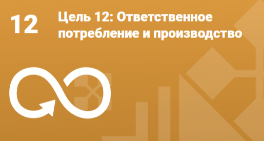 Цель 12