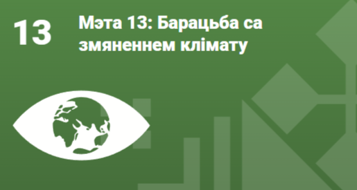 Мэта 13