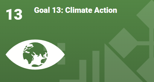 Goal 13
