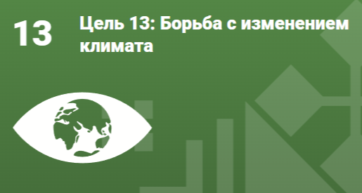 Цель 13