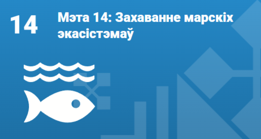 Мэта 14