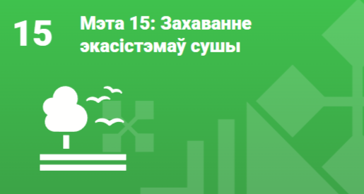 Мэта 15