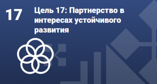 Цель 17