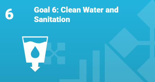 Goal 6