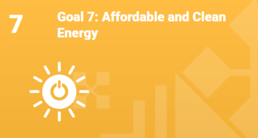 Goal 7