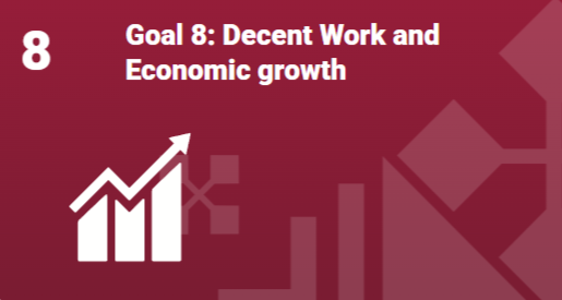 Goal 8