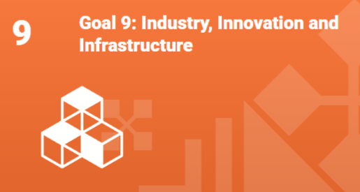 Goal 9
