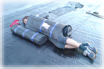 Открытие фотовыставки «Трудовое лето «трёшки» 2010» Фотовыставка «Трудовое лето»