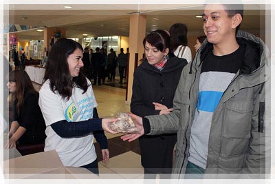 Advertising campaign from Polotsk branch of confectionery plant “Vitba” Advertising campaign from “Vitba”