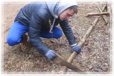 Help homeless animals Help homeless animals