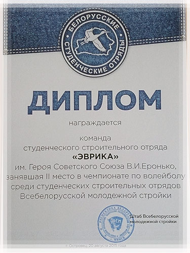 Диплом за участие в чемпионате по волейболу Диплом за участие в чемпионате по волейболу