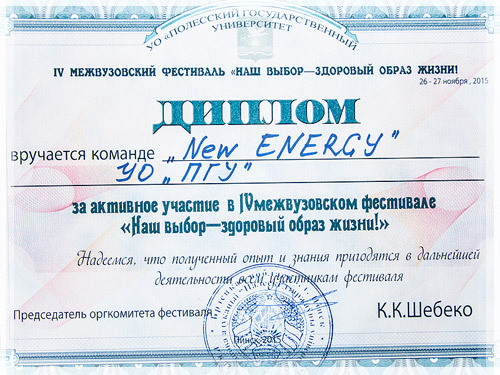 IV фестиваль волонтерских команд «Наш выбор – здоровый образ жизни!» - Диплом IV фестиваль «Наш выбор – здоровый образ жизни!» - Диплом