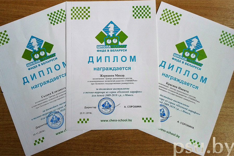 Дипломы за достойное участие Дипломы за достойное участие