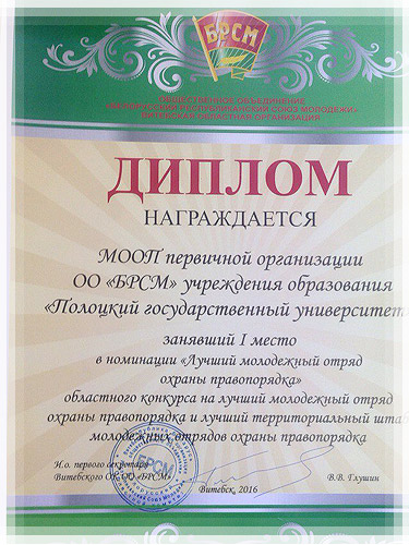 Диплом в номинации «Лучший Молодежный отряд охраны правопорядка» Диплом в номинации «Лучший Молодежный отряд охраны правопорядка»