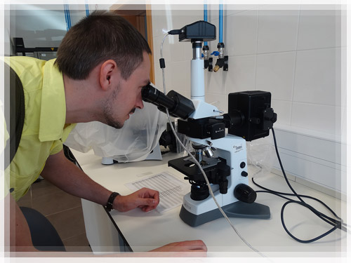 Introduction to study and research base Introduction to study and research base