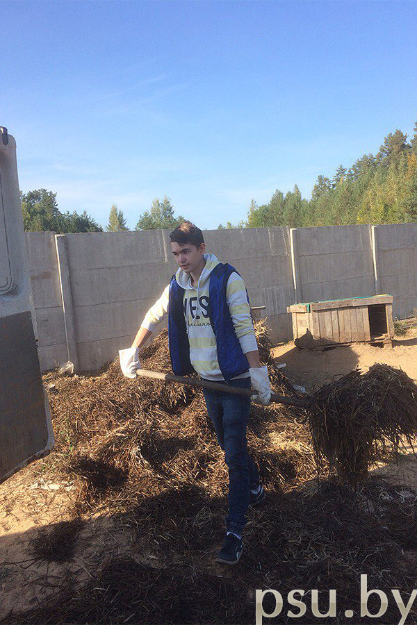 Волонтёрская помощь пристарелым людям в хозяйстве Помощь