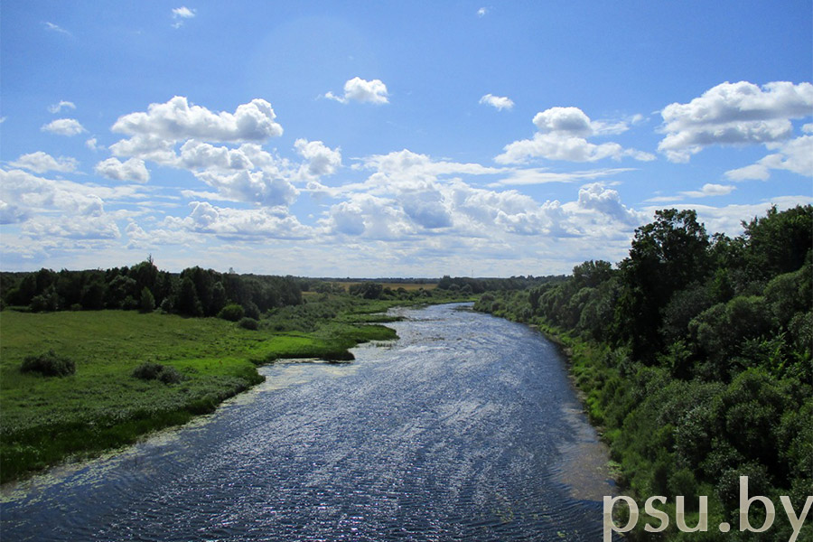 Рака Дзісёнка Рака Дзісёнка