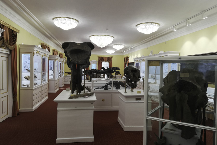 A depositary of unique collections A depositary of unique collections