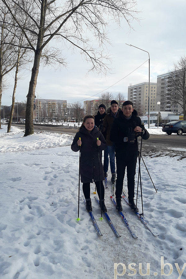 Лыжная прогулка Лыжная прогулка