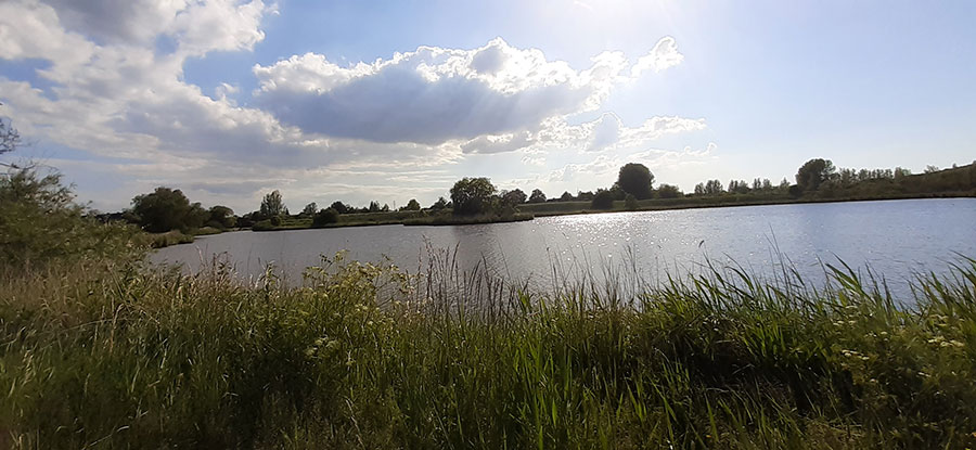 The nature of Emden The nature of Emden