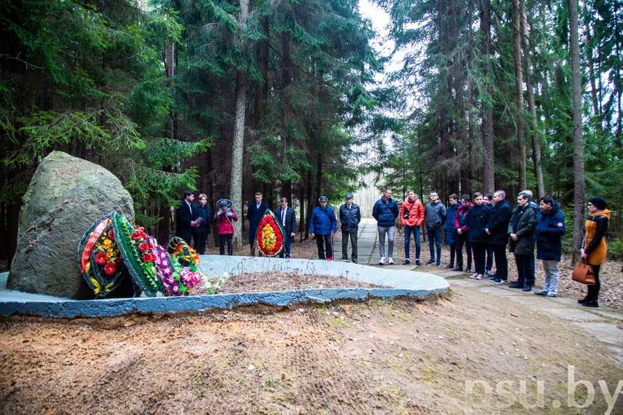 Мемориальный знак на месте гибели самолета-штурмовика Ил-2 Мемориальный знак